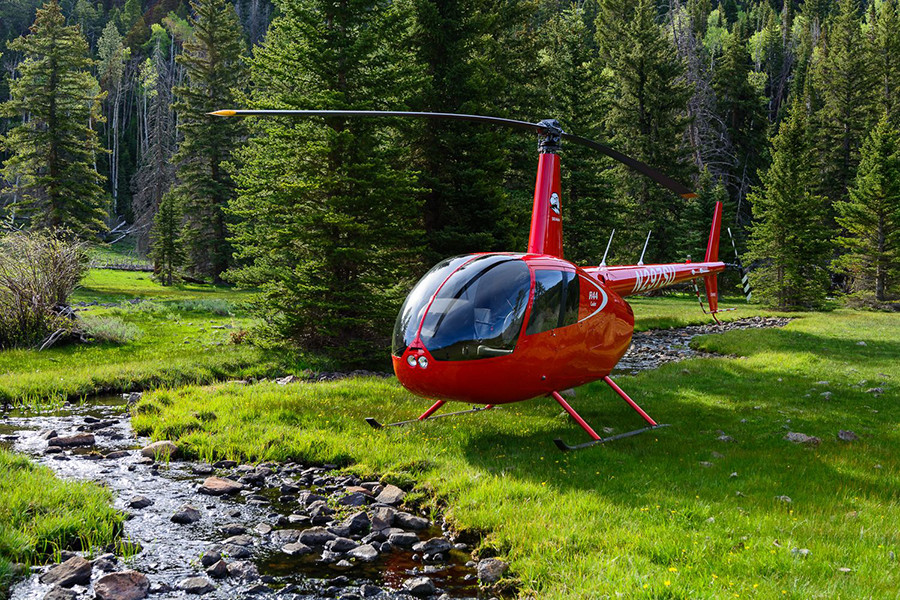 Picture of helicopter surrounded by greenery.