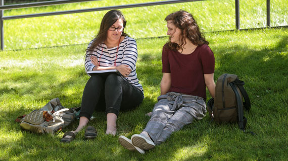 Students studying outdoors