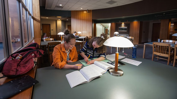 students studying in the library
