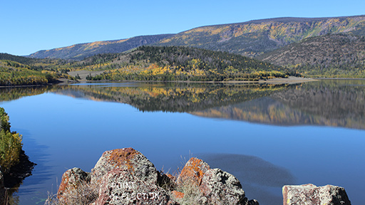 Journey to Fish Lake, Utah’s Fishing Gem and home to Trembling Giant